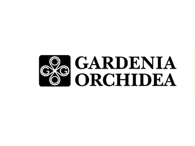 Gardenia Orchidea